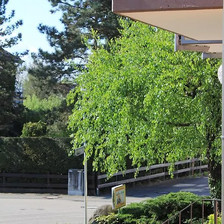 Ξενοδοχείο Moesle 2*