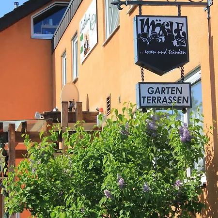 Hotel Moesle 2*